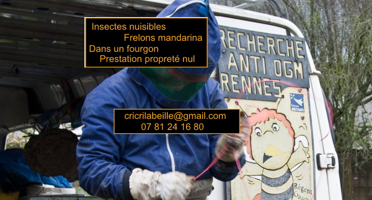 insectes-nuisible-frelons-mandarina-dans-un-fourgon-prestations-recyclage.